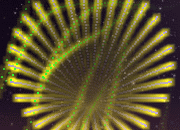 Ϸ :  0 
ָ : 3 
ʱھ : ʱδ
 :  ʮ 
ÿշ : ͭ 1 ö
 : 500   = 1 ö
 : ̻ - Ϸ
Ϸ˵ : :  , ѷɵеĻȼ̻