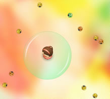 Ϸ :  1 
ָ : 4 
ʱھ : ƤƤ
 :  ʮ 
ÿշ : ͭ 1 ö
 : 69  = 1 ö
 : Ʈ - Ϸ
Ϸ˵ : : ո,µĹ⻷Ʈ÷